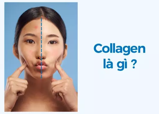 Collagen-rat-quan-trong-doi-voi-co-the